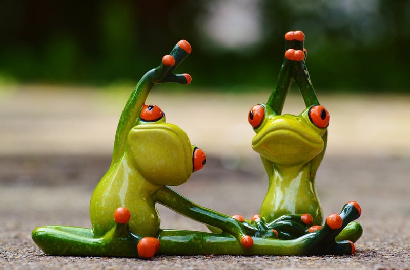 Pilates and Yoga